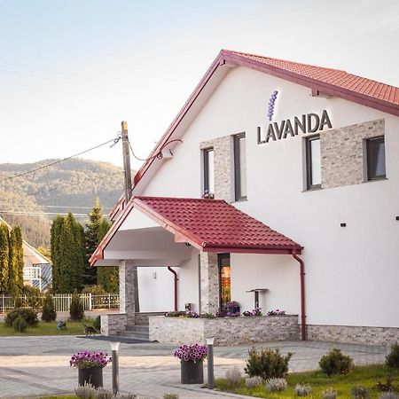 Pensiunea Lavanda, Piatra-Neamt Piatra Neamt Luaran gambar