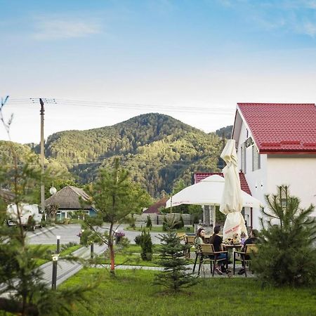 Pensiunea Lavanda, Piatra-Neamt Piatra Neamt Luaran gambar