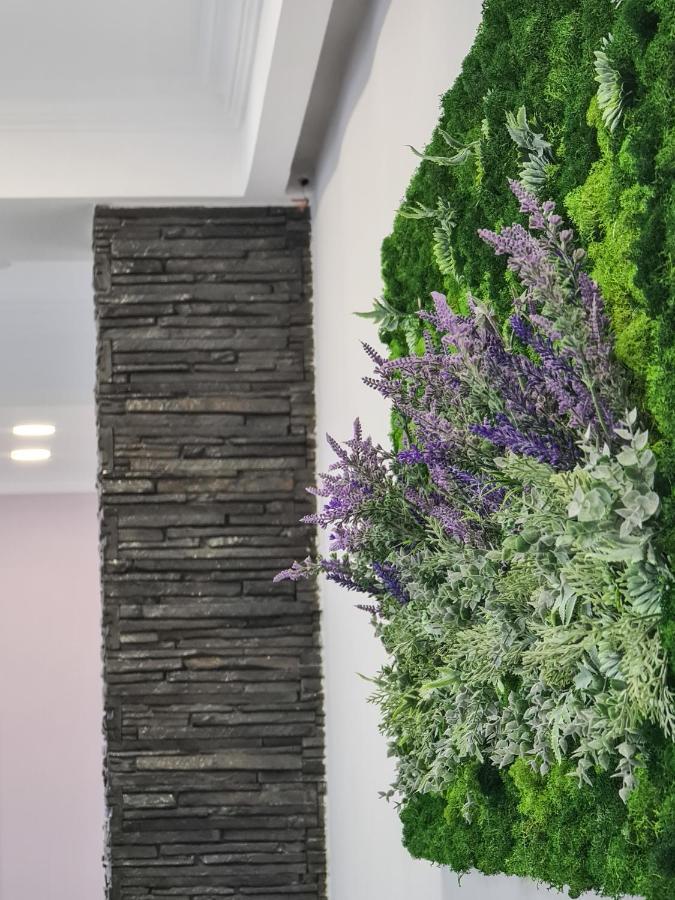 Pensiunea Lavanda, Piatra-Neamt Piatra Neamt Luaran gambar