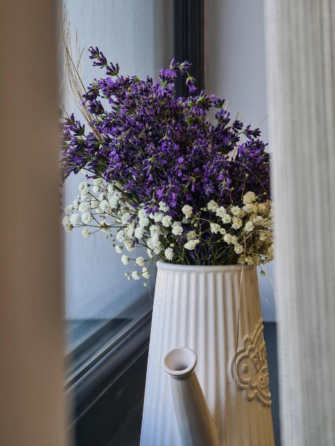 Pensiunea Lavanda, Piatra-Neamt Piatra Neamt Luaran gambar