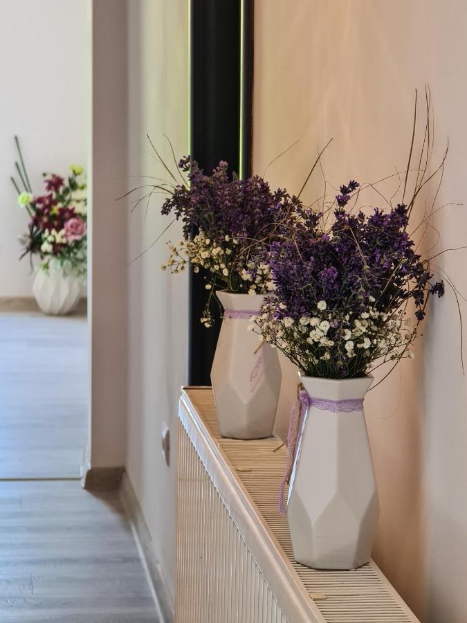 Pensiunea Lavanda, Piatra-Neamt Piatra Neamt Luaran gambar