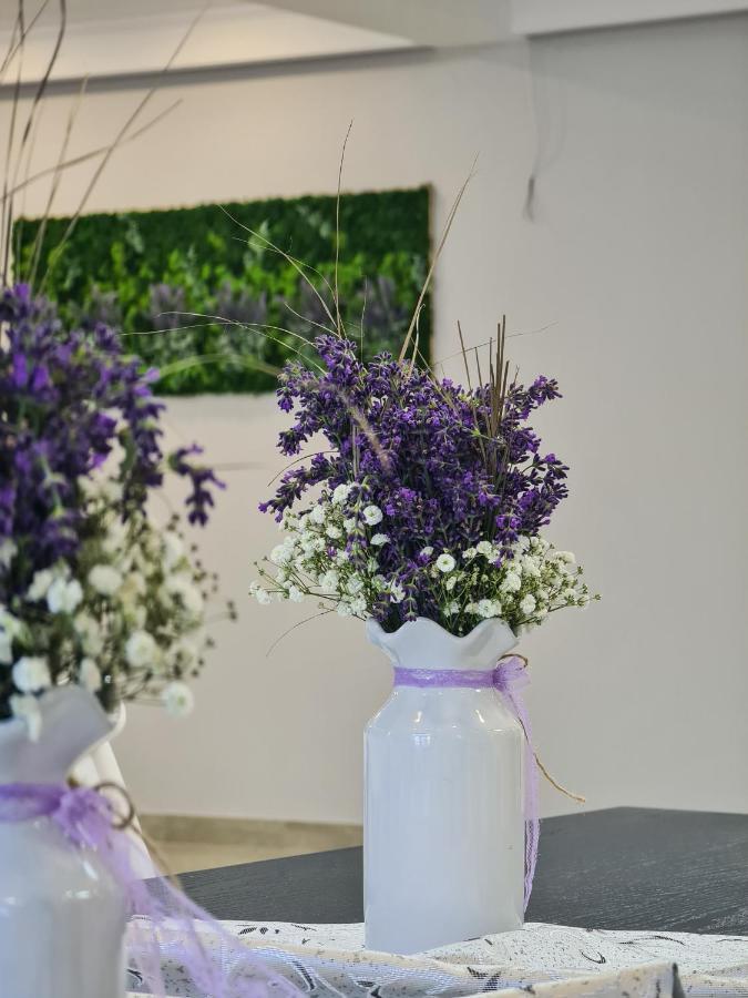 Pensiunea Lavanda, Piatra-Neamt Piatra Neamt Luaran gambar