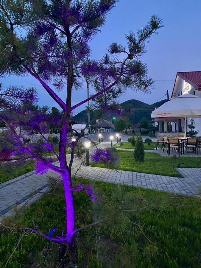 Pensiunea Lavanda, Piatra-Neamt Piatra Neamt Luaran gambar